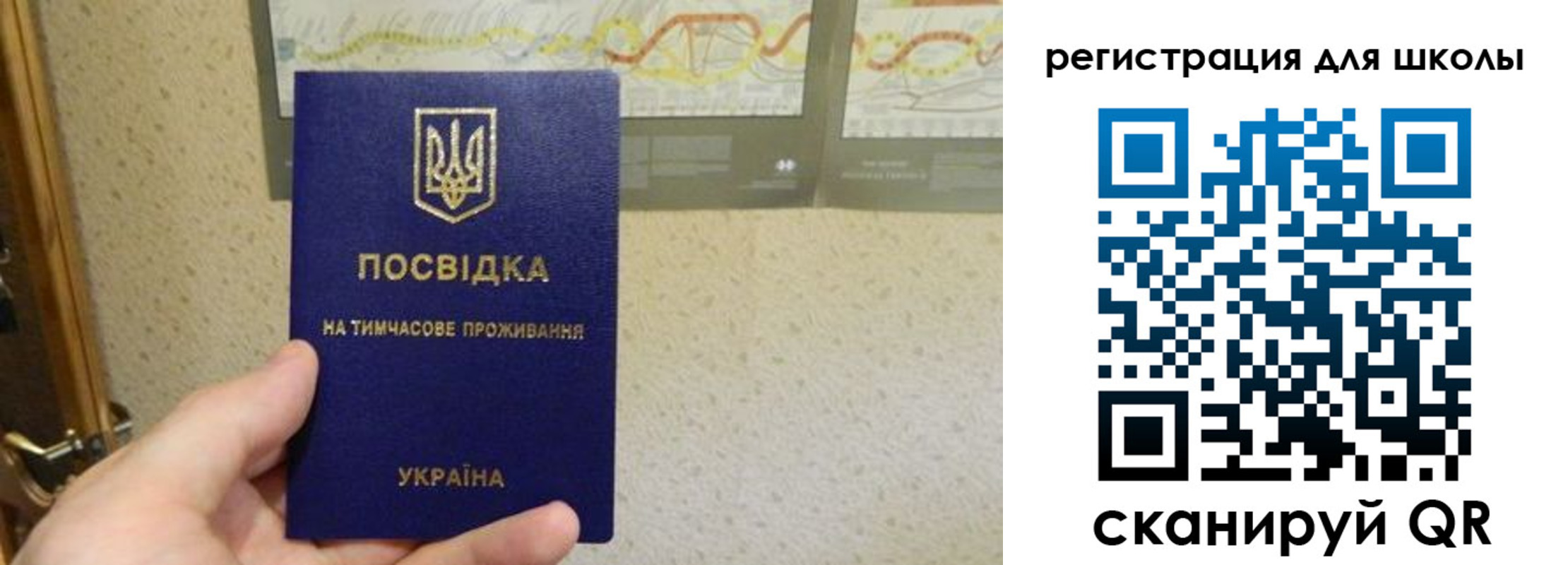 временная прописка в Шебекино